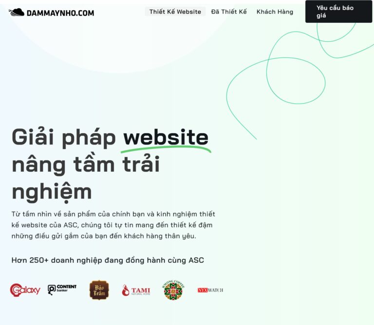 dammaynho com hero 1 768x668