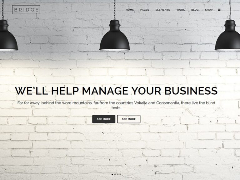 bridge wp template 768x576