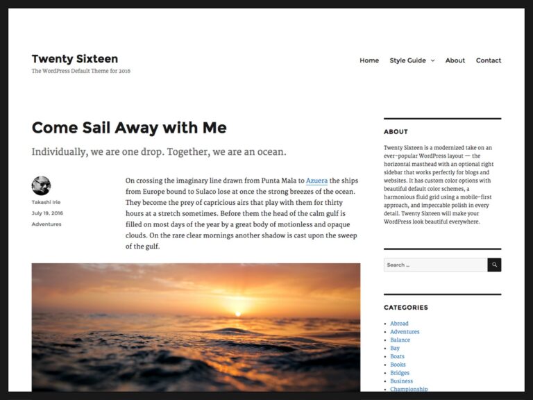 twenty sixteen free wordpress theme 768x576