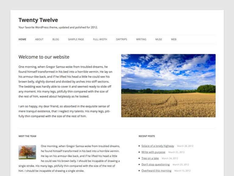 twenty twelve wordpress theme free download 768x576