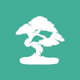 Sensei Pro WC Paid Courses