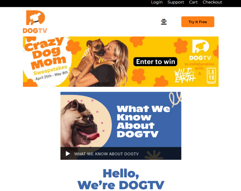 dogtv 768x609