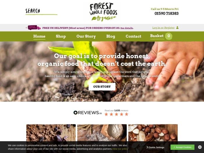 forest whole foods